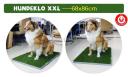 Hundeklo XXL aus Kunstrasen sauber hygienisch und ideal fürs Stubenrein Training