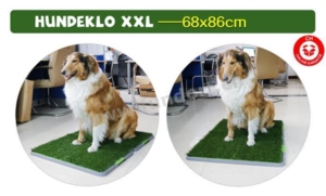 Hundeklo XXL aus Kunstrasen sauber hygienisch und ideal fürs Stubenrein Training